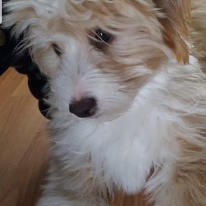 Meet your Posher, Mel